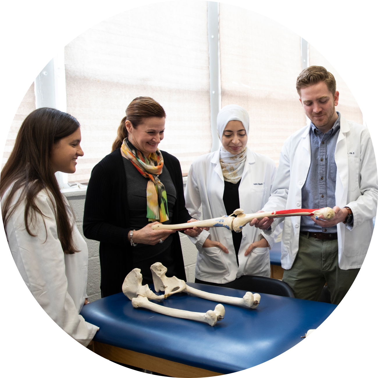 faculty member teaching students about different bones